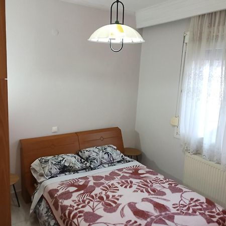 Apartment Marios Soufli Ευρύχωρη Γκαρσονιέρα, 60M2 Στο Κέντρο Souflíon Esterno foto